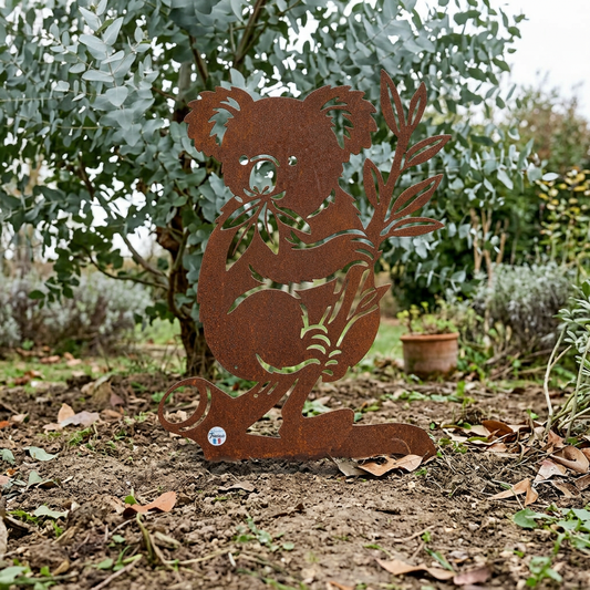 Koala près d’un eucalyptus, sans piques visibles ni prolongements sous la base