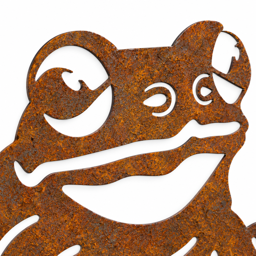 Zoom du visage de la grenouille rouillée